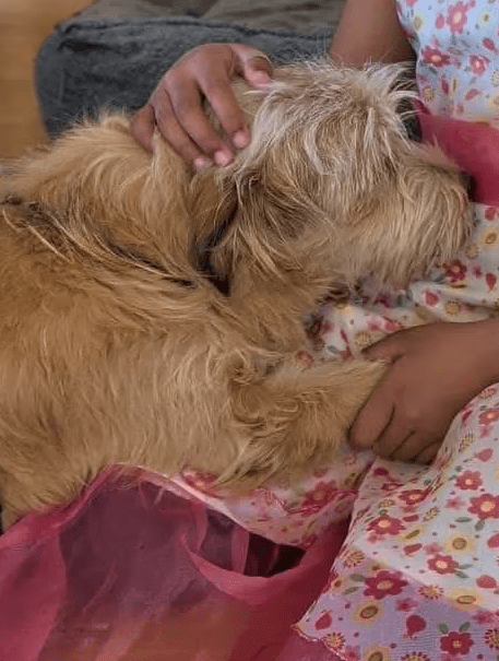 2026 04 13 10 18 33 Posteingang Sina.Rieke Kroeger@oetker.com Outlook