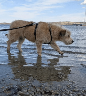 2026 04 13 10 18 37 Posteingang Sina.Rieke Kroeger@oetker.com Outlook