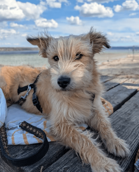 2026 04 13 10 18 42 Posteingang Sina.Rieke Kroeger@oetker.com Outlook