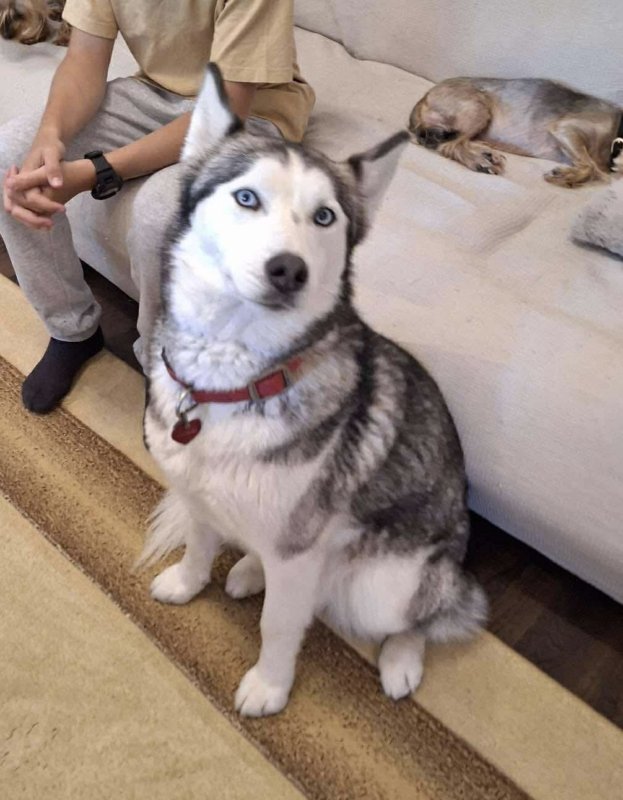 37661ce4cbcc9e0da1d2ba00f61d2f98