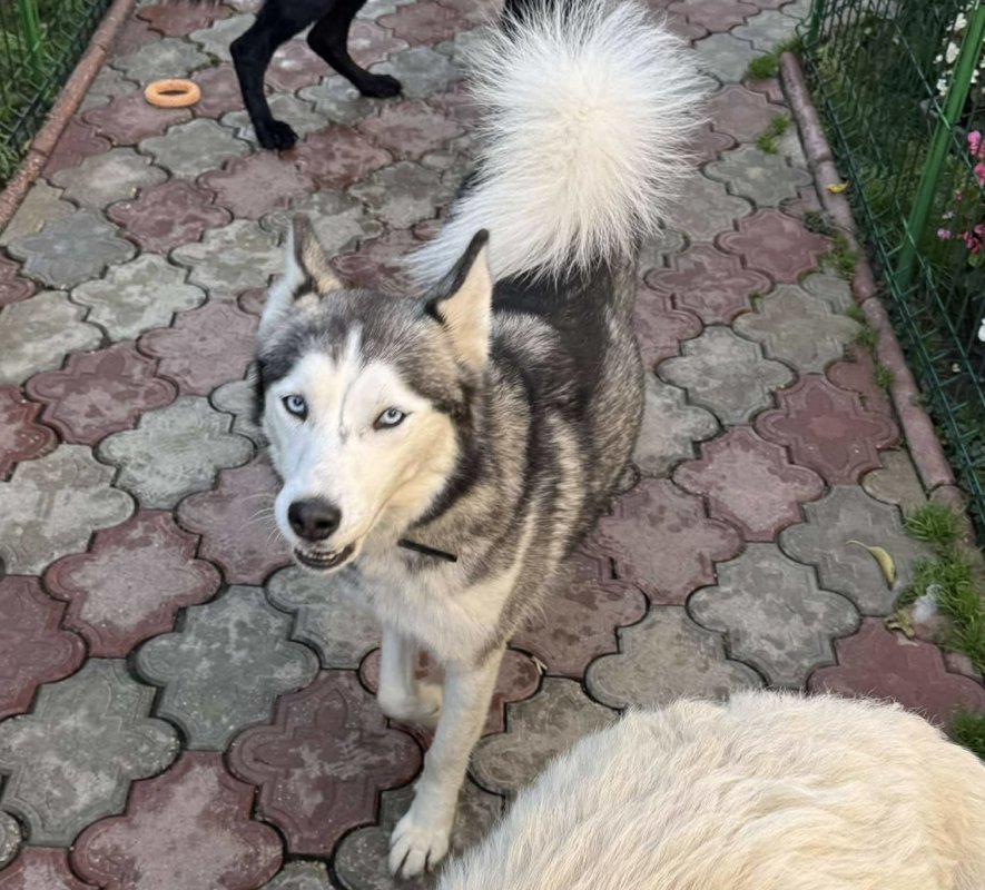 52871739ac1df3141385bb7022e2830a