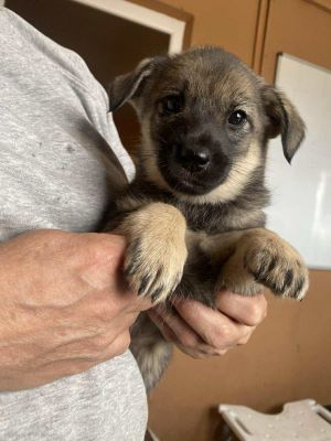 553153555 1860838307841098 3175448302953569277 n