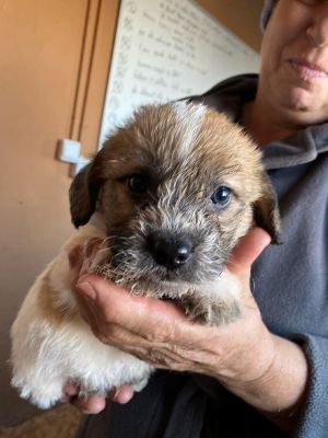 566569433 2281774365662694 1141132706197267301 n