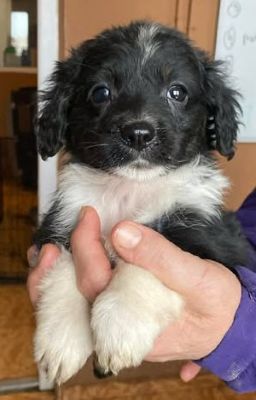 577042893 25508422055465047 264045026487032001 n