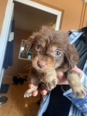 582106149 2338465849958389 8624807766867319490 n