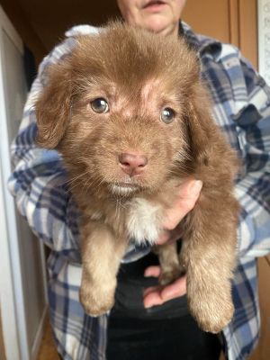 582518026 4143714239291552 6277490692671449978 n