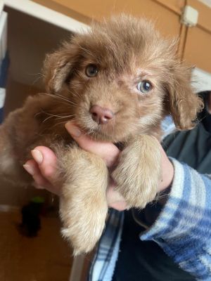 582557390 1125036332934807 7630748546817728253 n