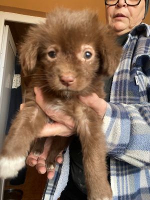 582584129 829635696453592 9200578756211520258 n