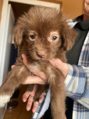 582618043 691322627068523 8253404635255342336 n