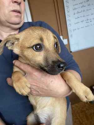 583325829 25237155619258360 5337855517797808907 n