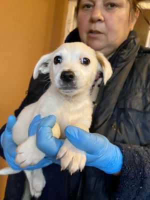 583329008 25245078285132760 2006061355451602622 n