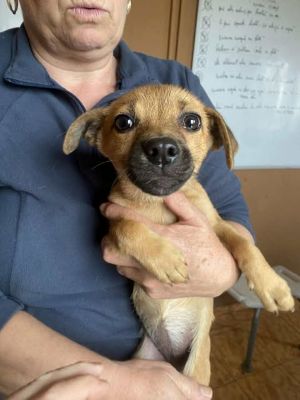 584012261 25237155625925026 3649243632188612555 n