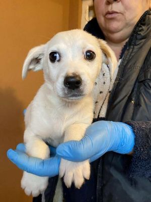 584126096 25245078061799449 5842824799223699574 n