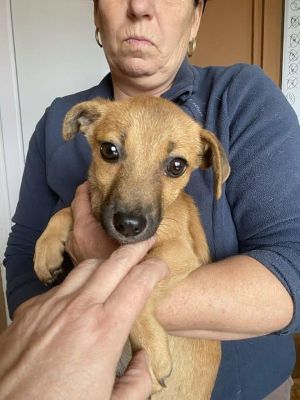 584510311 25237155332591722 1304046144985677604 n