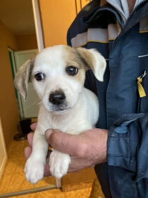 584566734 25245174118456510 1372264097969874087 n