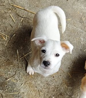 584879525 25274080708899184 731846565202337209 n