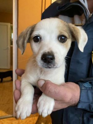 584950155 25245174501789805 6941583625877834233 n