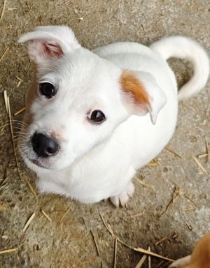 585194440 25274080705565851 1709411107211101997 n