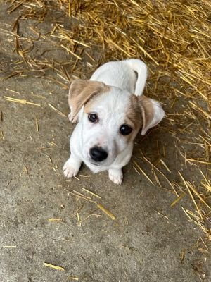 585194913 25274042425569679 4892331874665108021 n