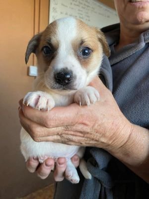 585569445 1522493849062511 8183705531705572463 n