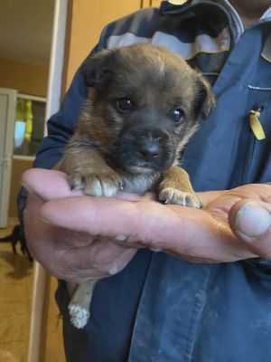 585876962 25305676872406234 4165780759959250482 n