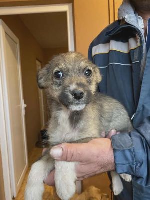 586308687 25314040604903194 3464258212952300530 n