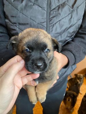 586343698 25305740685733186 3240965423916881570 n