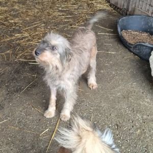 587199035 25313893641584557 5963420986176344520 n