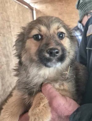 587359344 25556892537284665 5264432153725311546 n