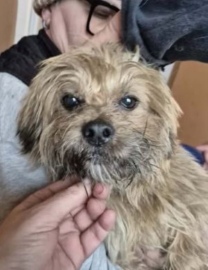 587484821 25321220257518562 4606261490230511699 n (1)