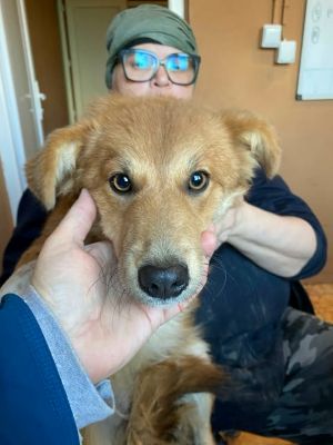 587765728 25447855791521674 833133324434401447 n