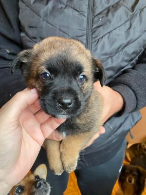 587799788 25305741025733152 756551679817091690 n