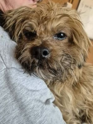 588303798 25321220624185192 5182917498604497304 n