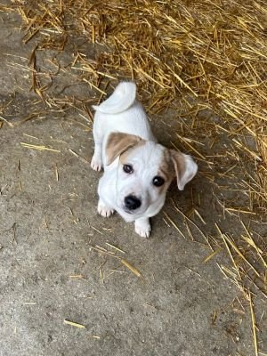 588406324 25274042642236324 4922057135898307608 n