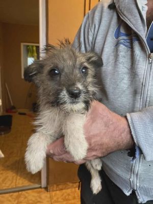 588530065 25314283018212286 4057999471440265470 n