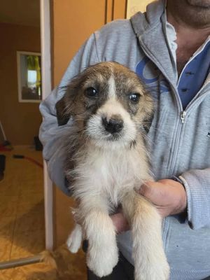 588535776 25314398251534096 72270883517141832 n