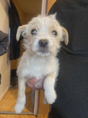 588561644 25314439188196669 2804950938835332667 n