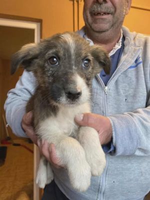 588573704 25314141861559735 3909289262786903075 n