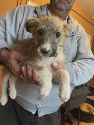 588585033 25314335004873754 3042358033247856151 n