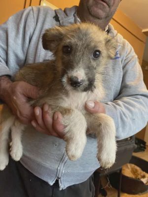 588591245 25314335241540397 4291451521445573327 n