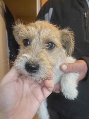 588628948 25314486134858641 2422568575921724880 n