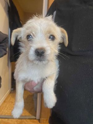 588656612 25314443181529603 907536264016346169 n