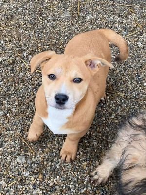 588685850 1990324808247799 5054995603536193120 n