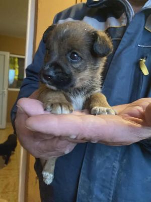 588768737 25305676099072978 7156464946664773533 n