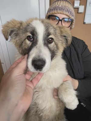 588772941 25321025794204675 1389581471854177548 n