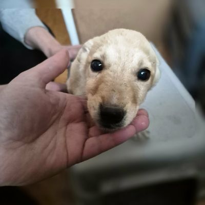 588786816 842547825023962 8457617589882411320 n