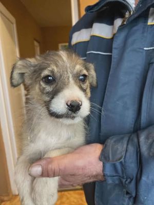 588807928 25313976698242918 3010327049486972802 n