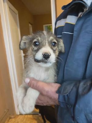 588810035 25313976801576241 332822804349235039 n