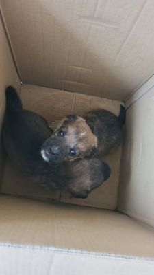 588811647 25305740802399841 2181297941410528553 n