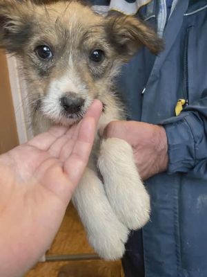 589084586 25314068034900451 9190624963604272150 n